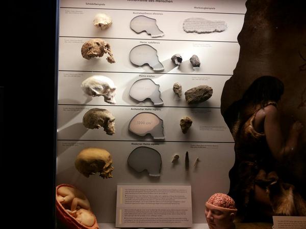 ch_k_scientist's tweet image. Even im not really for the skull thing but #Haider is definetly everywhere. #skullattack