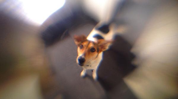 Stacks on stacks! The new LM-10 sweet spot lens can be stacked w/ other lenses for more drama.
photojojo.com/store/awesomen…