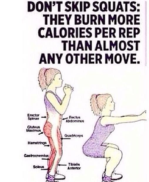 Squats calories, safe weight loss plans, 0 percent body fat healthy