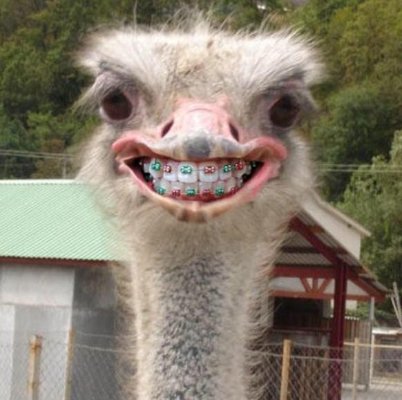 funnyorfact's tweet photo. Middle school pictures be like: http://t.co/3qtZyWnzsW