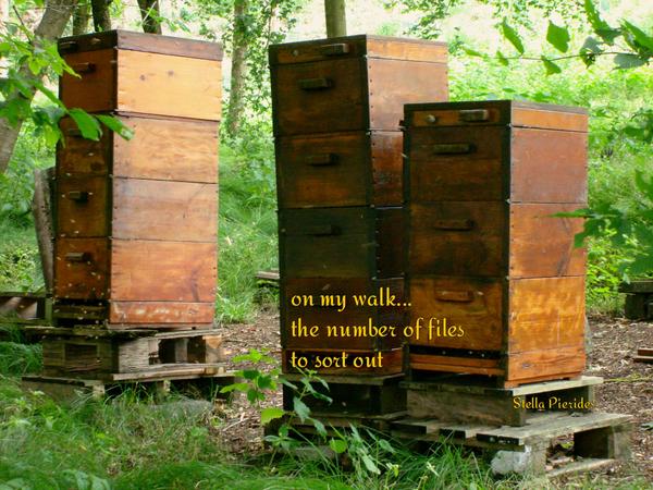 stellapierides's tweet photo. on my walk...
the number of files
to sort out
#haiga #Neusaess #bees #micropoetry http://t.co/FcgUNzDzBV http://t.co/ARlP8ZlmxP