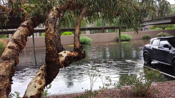 NinersNina's tweet image. Omg the parking lot #MonsoonProblems