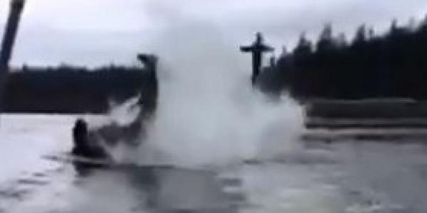 HuffPostCanada's tweet photo. WATCH: Killer whale throws sea lion 20 feet in the air http://t.co/EfC2RONOsK http://t.co/WzegqVCvqS