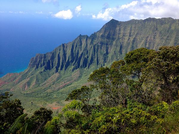 TravelWriterExm's tweet photo. #Hiking and ogling in Waimea Canyon on #Kauai: http://t.co/k4u6v3sBoi @examinercom http://t.co/nD2jkAyreK