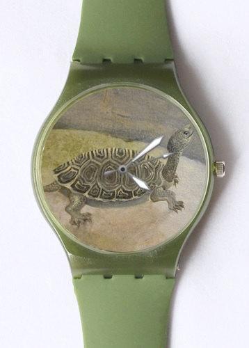 RachelClearfiel's tweet photo. Sold and Only 49 units remain: Rachel's "Happy Turtle" Plastic Watches: https://t.co/iEGUc8XNa4 http://t.co/uOpyzeZxpp