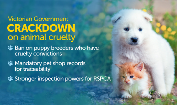 Victorian Govt crackdown on cruel &amp; illegal breeders continues with 3 tough new initiatives tinyurl.com/opq2yl7