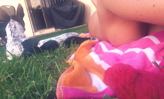 Guard dog ;) #TuesdayTease @Playboy @PlayboyPlus @PlayboyTV http://t.co/W3dABm1el5<a href="/tag/tuesdaytease"class="tags">#TuesdayTease</a><a class="tags" href="/tag/playboy">@playboy</a><a class="tags" href="/tag/playboy">@playboy</a>