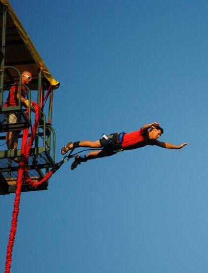 Bungee jump at <a href="/Wildernesstours/">Wilderness Tours Raft & Kayak Resort</a>. Everyone should try this. Some after buying life insurance.