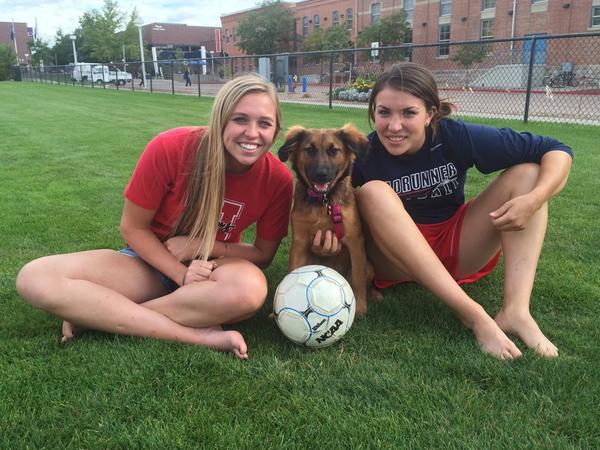 2sdaysWithRowdy's tweet photo. #barktoschoolphoto http://t.co/hWFn0ZiGDy