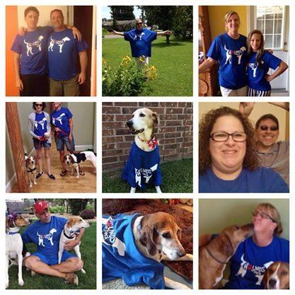 _AHOD_'s tweet image. @AmyRoseKathryn PLS RT Adopt a Hound #dog #foster #donate buy a Tshirt  Do all of the above facebook.com/pages/All-Houn… …