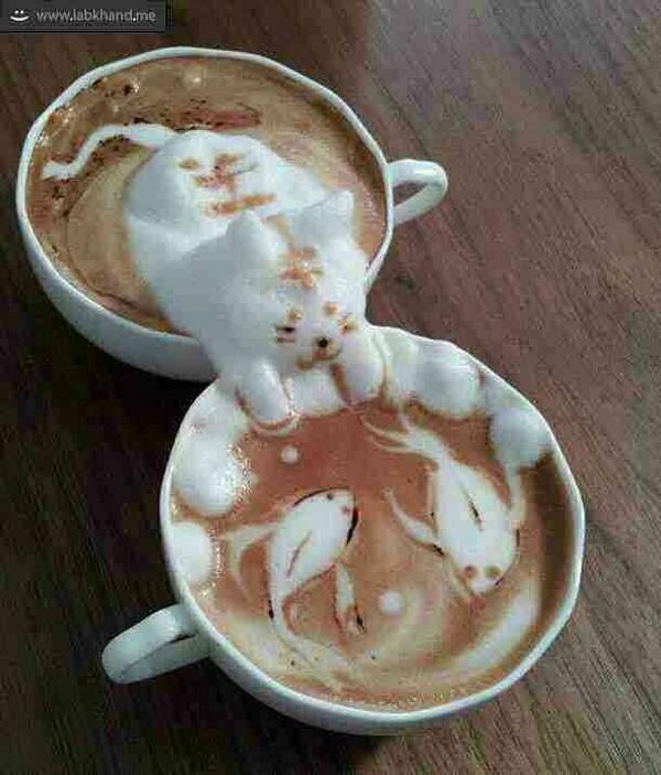 reneezimmer (@rennee_canada) on Twitter photo 