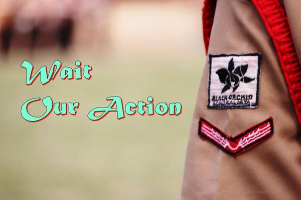 ScoutGalasta's tweet photo. Wait Our Action #blackorchid http://t.co/zwAVTmUJL9