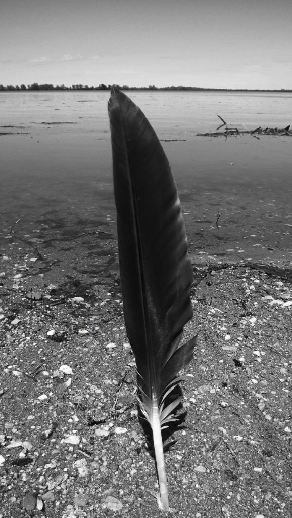 Please check out my photography work on instagram and pop me a follow! @CasperPhotography