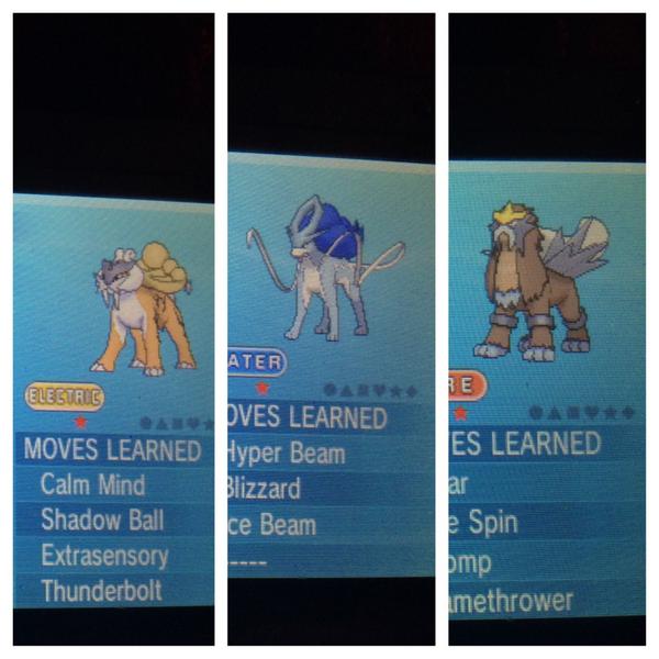 zumbreonz's tweet image. So when this hits 100 retweets and I get 400 followers one lucky person will win these pups :) must be following :3