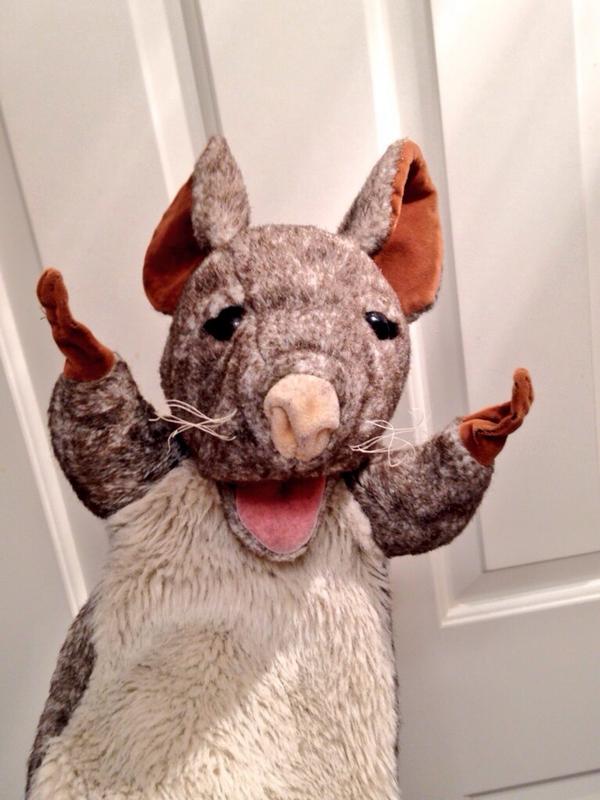 RJBiscotti's tweet photo. So fresh and so clean! Just took my first shower since 2009. Find out why very soon...🐭🚿#drownedrat #rjbiscotti http://t.co/nfUsBfg9zO