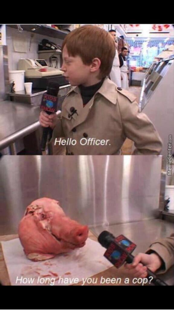 youcankeepher's tweet image. 