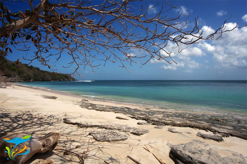 Permalink gambar yang terpasang