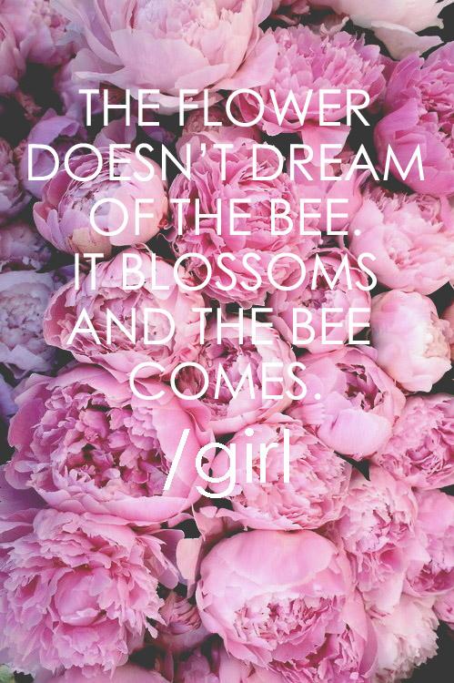 ShopSlasherGirl's tweet photo. Work hard everyday. #ShopSlasherGirl 🌸 http://t.co/LI6J3Fg3L3