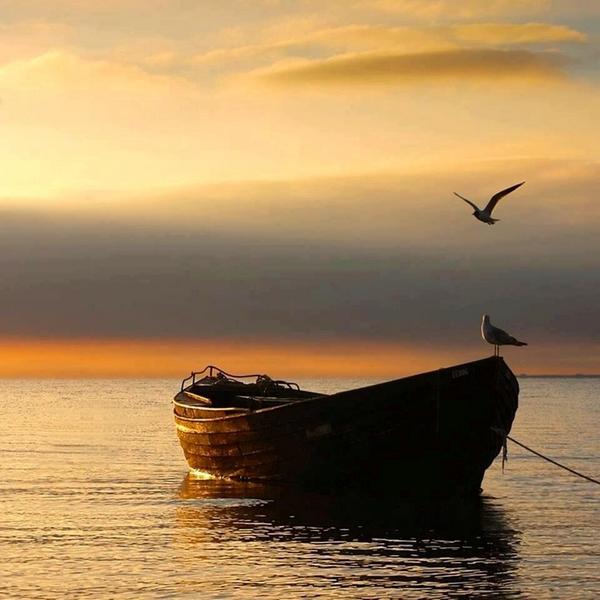 Gabriele_Corno's tweet image. Harmony....