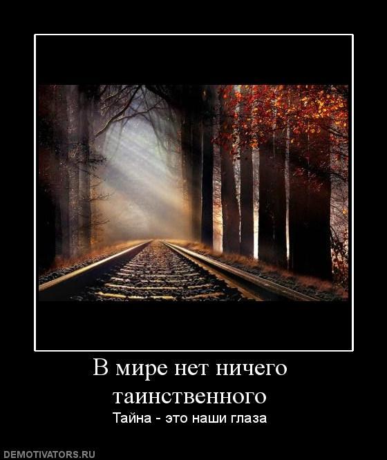 Ничего не меняется в жизни цитаты. Афоризмы про свободу. В жизни нет ничего хорошего. В жизни нет ничего хорошего. Шекспир нет ничего ни хорошего, ни плохого.