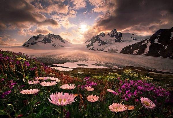 Gabriele_Corno's tweet photo. Alaska #Sunrise #Summer http://t.co/qmG4ZYXup4