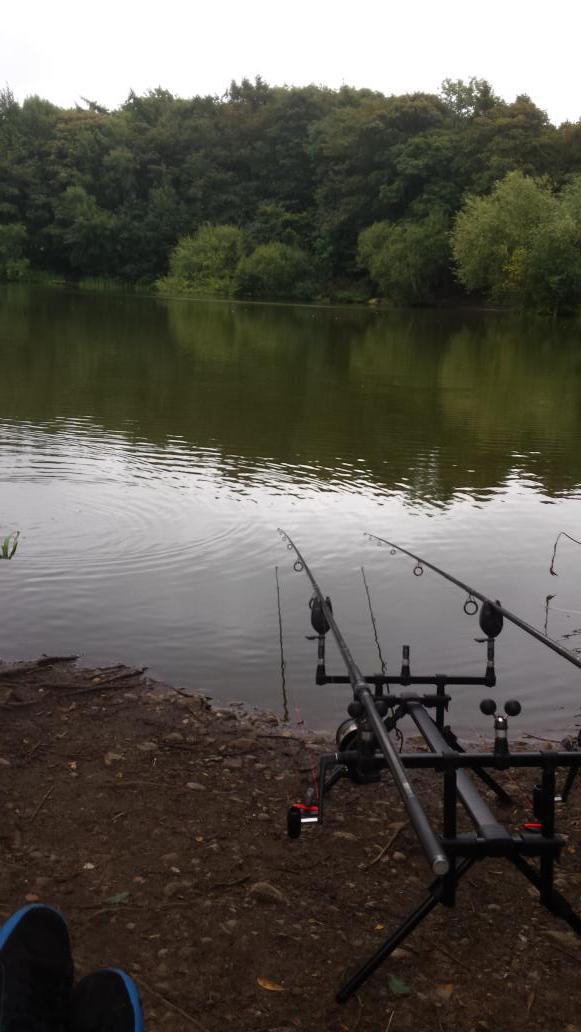 andy holmes tweet media