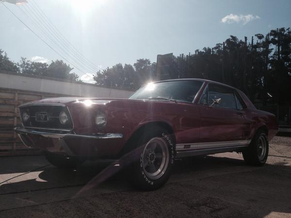 BizImageAndy's tweet image. Go faster stripes on a 67 Mustang. Not a bad start to the morning for Farm Fresh