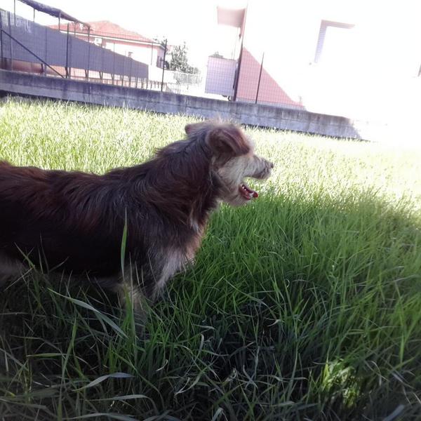 BrunelloRE86's tweet photo. Baubini http://t.co/xzud7GHzR9