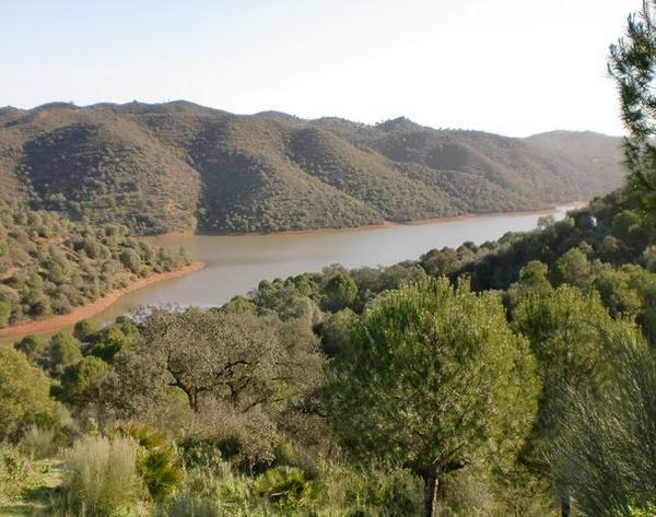 EnmipuebloOrg's tweet photo. Fotos de la Ruta del Agua de Guillena, un paisaje que no puedes perderte http://t.co/qnGMsifGaA