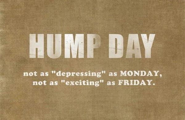 TheLadderMag's tweet image. Hump Day – It is all about perspective theladder.co/hump-day-persp… #Wednesday #humpday