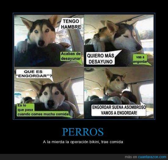 Supersarcasmo's tweet photo. Si todos tuviésemos esta forma de pensar seríamos condenadamente felices http://t.co/C2YzV0HTfe