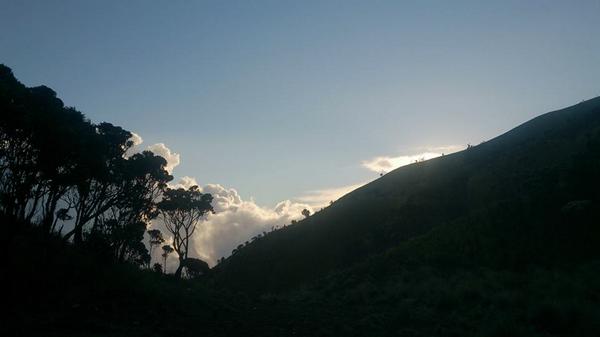 infopendaki's tweet photo. RT @sutansyahril_: menuju senja #AdvSunset #Merbabu http://t.co/x30Szt0jui