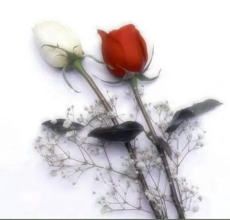 merimamussa's tweet photo. http://t.co/V33Ifyihrq