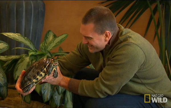 Pond Stars: Beyond the Pond
 NEW SERIES PREMIERES
 FRI SEP 5 at 10P #PondStars 
channel.nationalgeographic.com/wild/pond-star…