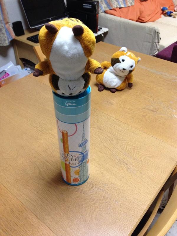 rascalmagic1's tweet image. スカイツリー行ってみたいな、