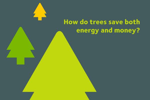 WMCareers's tweet image. Get involved - we want to hear your answers! RT @WasteManagement: It&apos;s a mid-week round of #treevia...good luck!