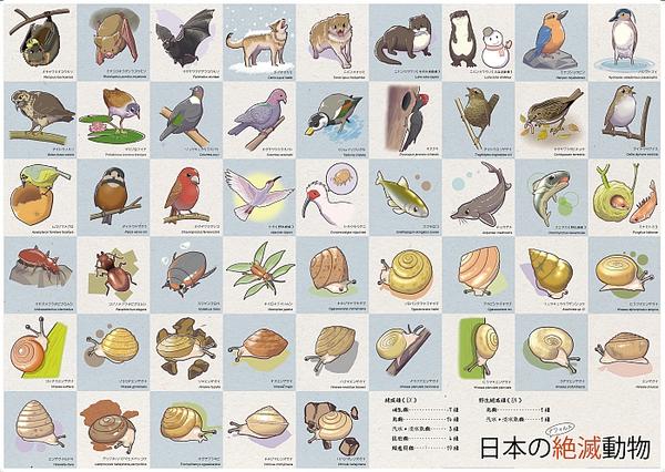 日本の絶滅種101種ポスターはデザフェスで売ろうかと無謀な企てをしています。（でも秋デザフェス申し込みを逃した間抜け人間） 