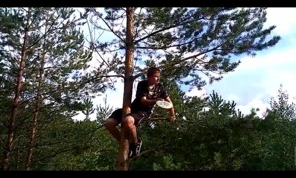 DiscGolfFin's tweet image. Because normal is boring..:D #discgolf #frisbeegolf #finland #treeDiscGolf #innova #rt #f4f