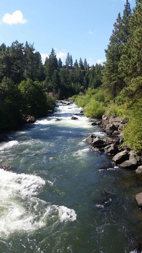 MissTrade's tweet image. 19th hole at Jackson #webeyellen #mpta