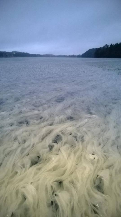 OMGFacts's tweet photo. This is what happens when snow doesn't melt underwater in Finland, by Vesa Kaloinen http://t.co/ZXqSqWKbVS