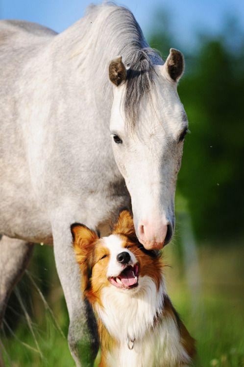 #Friendship