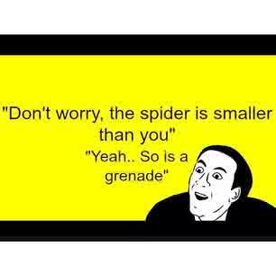 LukeMeyer11's tweet photo. @nagcoza I now say it everytime someone says go get that spider! http://t.co/Srspts9HGX