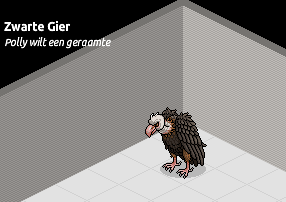 Habbochannel_nl tweet picture