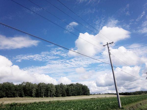 9II_O's tweet photo. ‥

 てるくん
 今 何考えとる ？
 好き ？
 甘えて 、 ごめんな

‥ http://t.co/uA4LqR276C