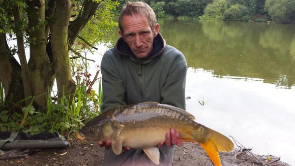 andy holmes tweet media