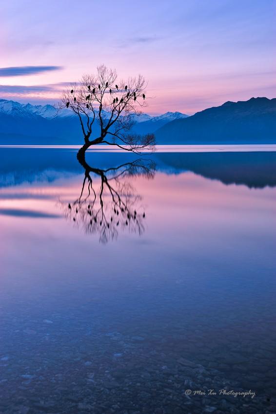 '@dkriyani: “@DerickPauls: “@Ou_Prg: Im back ♥

pix Zhonghua Meng Photography ”” #blueMirror #gorgeous view 💕' Nice!