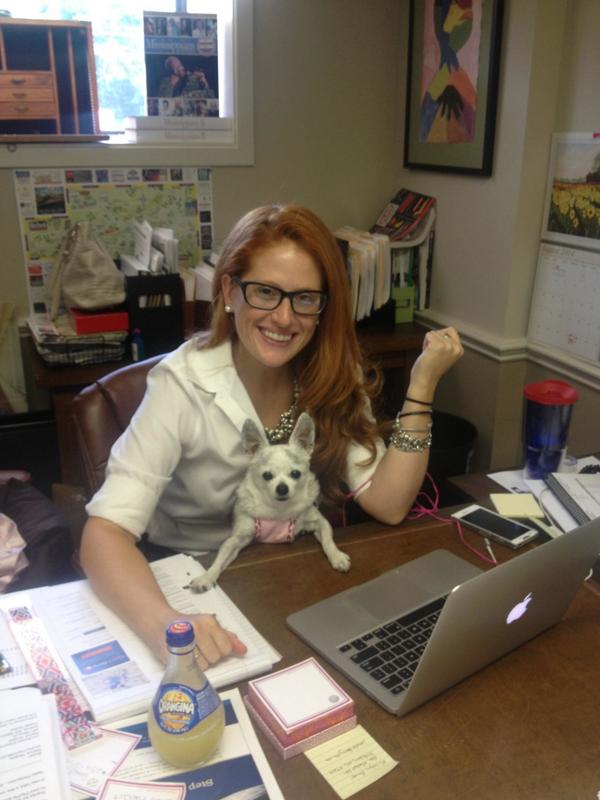 Bebe_Furbaby tweet picture