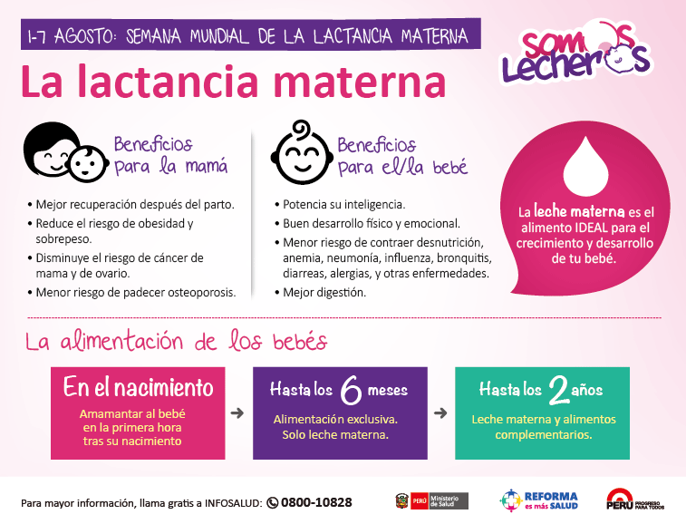 Alimentos para producir más leche materna