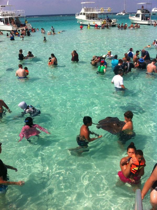 MobyDickTours's tweet photo. Amazing  #stingray city day out on the #sandbar everyone holding and loving the rays. http://t.co/psLLVMqQkH