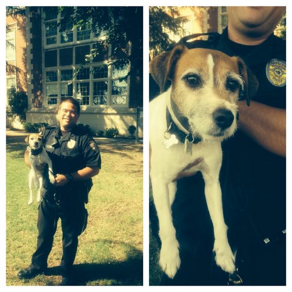 SUSDAdultSchool's tweet image. SUSD Police Officer Jue &amp;amp; Yoda visit @SUSDAdultSchool @StocktonUnified #SUSD #caninedetection #rescuedog #mighty